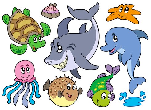 Happy sea animals collection