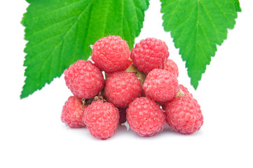 red raspberries and leaves isolated