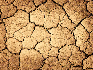Drought Dried Dirt