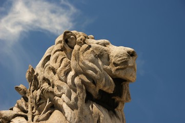 T&ecirc;te de Lion