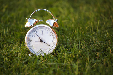 Wecker im Gras