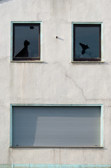 Wall of abandoned house similar to laughing or crying face