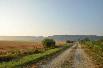 Path through the Fields