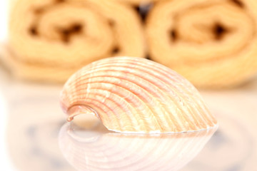 Seashell and bath towels