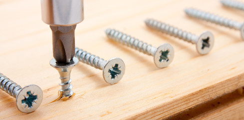 Goup of nails and screwdriver. Out of crowd concepts.