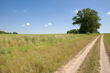Fototapeta na wymiar Summer landscape in Poland