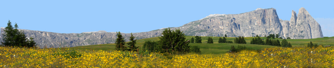 Panorama Altipiano Sciliar Alpe di Siusi Dolomiti