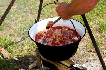 Ungarischer Kesselgulasch