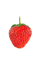 single strawberry