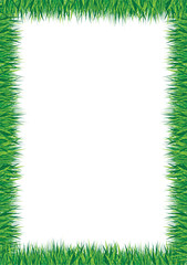 grass border