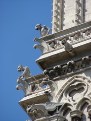 Les gargouilles de notre dame de Paris