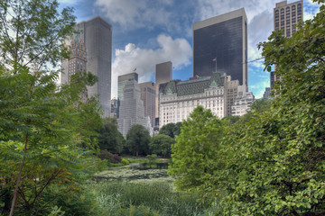 Naklejka premium Central Park in the early morning