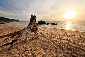Tropical sunset on the beach. Thailand