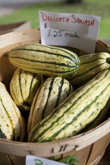 Basket of Delicata Squash for Sale