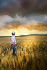 Man standing in a field of wheat
