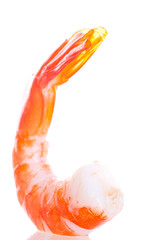 prawn  .