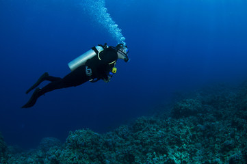 Fototapeta na wymiar scuba diver