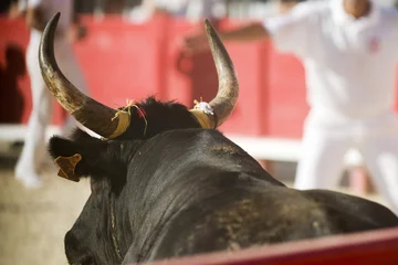 Crédence de cuisine en verre imprimé Tauromachie course camarguaise