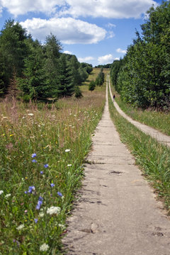 Wandern auf dem Gr&uuml;nen Band