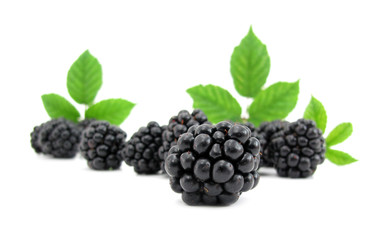 Blackberries with green leaves