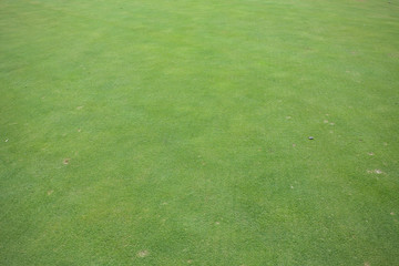 real putting green