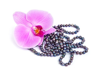 Orchid with a pearl necklace.