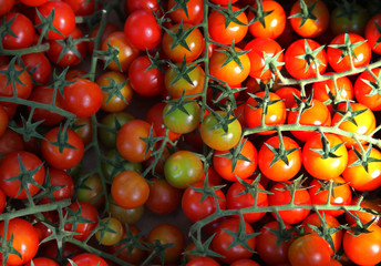 Cherrytomaten