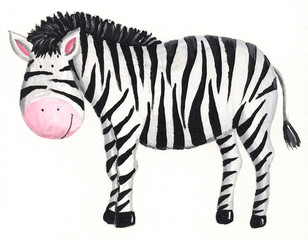 Zebra