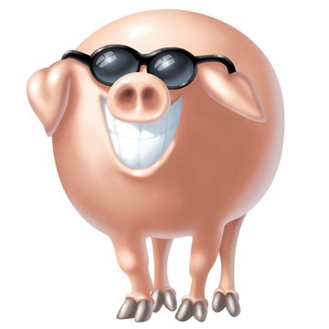 pig