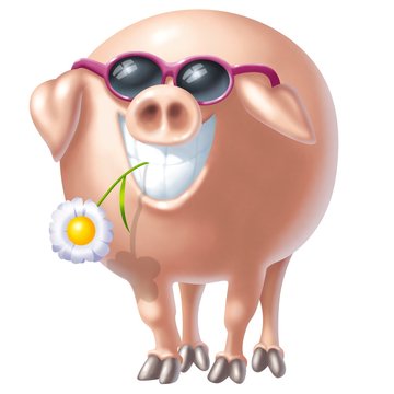 pig rosa