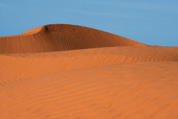 Fototapeta na wymiar Desert, żyje natura, Tunezja