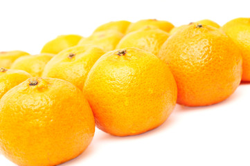 fresh tangerines lined up isolated on white