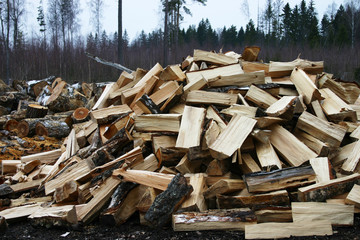 Wood pile