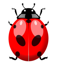 Red Coccinelle