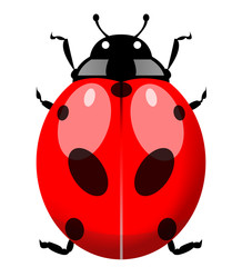 Red Coccinelle