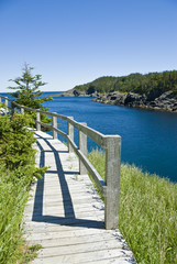 Obraz premium Boardwalk at La Manche Provincial Park, Newfoundland