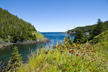Fototapeta na wymiar Bay at La Manche Provincial Park, Newfoundland