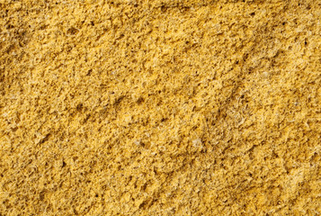 texture of the shells