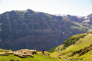 Bergère et brebis, éloignés