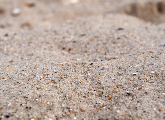 texture of the sand