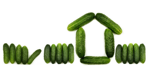 Figure of the summer home of the cucumber