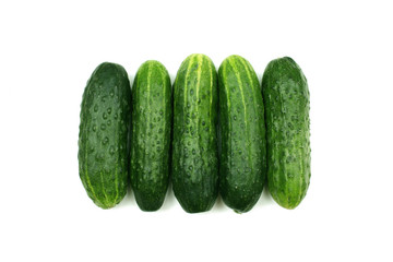 series of five cucumber