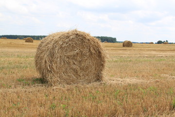 Соломенный рулон
