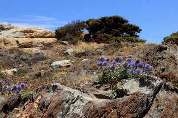 cap de creus,espagne