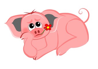Pig with a flower