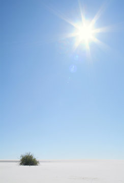 Paisaje solitario