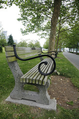 A bench in the park near vancouver,canada.