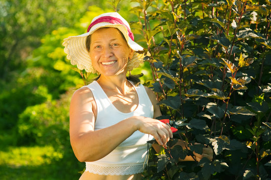 woman cutting  ninebark