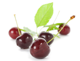 sweet cherries with leaves