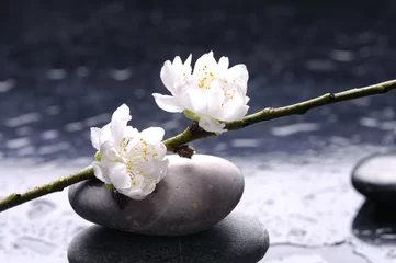 Wandaufkleber Gestapelte Steine und weiße Blume auf Wassertropfen © Mee Ting
